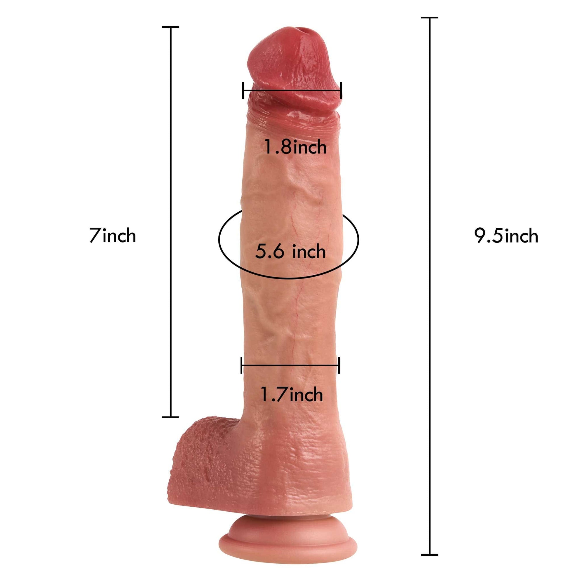 Rex 9 inch Real Feel Realistic Dildo & Soft Glan Realism Penetration - RealCocks